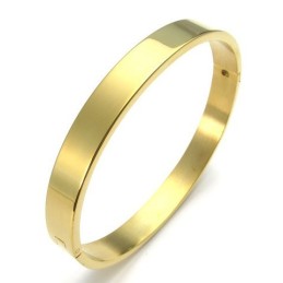 Tecnologia Sofisticada, Belas Cores, Pulseira De Titânio De Qualidade Superior