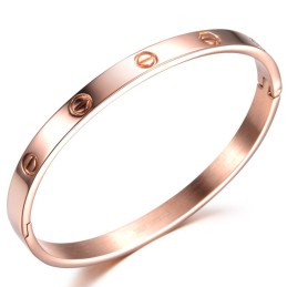 Pulseira De Titânio Com Parafuso Feminino De Grande Variedade