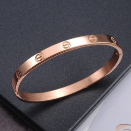 Pulseira De Titânio Com Parafuso Feminino De Grande Variedade