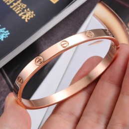 Pulseira De Titânio Com Parafuso Feminino De Grande Variedade
