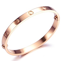 Pulseira De Titânio Com Parafuso Feminino De Qualidade E Quantidade Garantidas