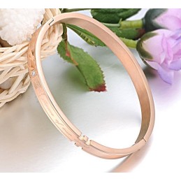 Pulseira De Titânio Completa Em Especificações Para Amantes