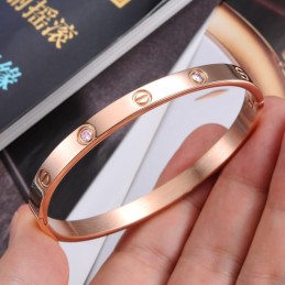 Pulseira De Titânio Com Parafuso Feminino De Qualidade Superior