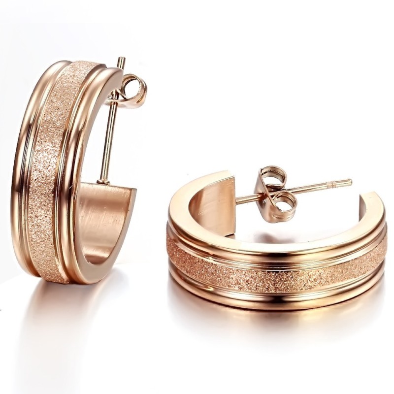 Brincos De Titânio Femininos Com Qualidade E Quantidade Garantidas