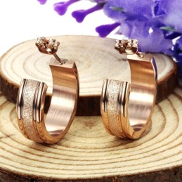 Brincos De Titânio Femininos Com Qualidade E Quantidade Garantidas