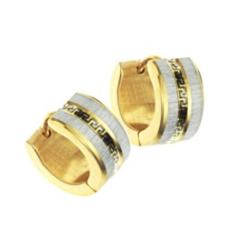 Brincos De Titânio Com Padrão De Parede Feminino Fáceis De Usar