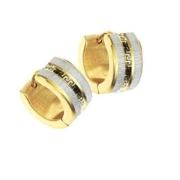 Brincos De Titânio Com Padrão De Parede Feminino Fáceis De Usar