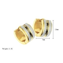 Brincos De Titânio Com Padrão De Parede Feminino Fáceis De Usar