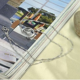 Colar Feminino De Titânio Com Banho De Platina E Strass Completo Em Especificações