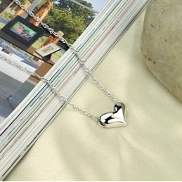 Colar De Titânio Banhado A Platina Com Pingente De Coração Feminino De Excelente Qualidade