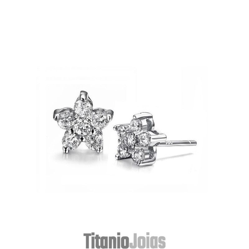 Brincos De Titânio Banhados A Platina, Antialérgicos E De Alta Qualidade, Com Diamantes, Conhecidos Por Sua Alta Qualidade Brincos De Titânio Banhados A Platina, Antialérgicos E De Alta Qualidade, Com Diamantes, Conhecidos Por Sua Alta Qualidade