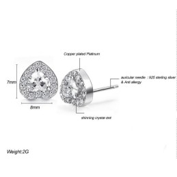 Para Desfrutar De Alta Reputação Em Casa E No Exterior, Brincos Femininos De Titânio Com Revestimento De  E Diamante
