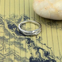 Anel De Titânio Com Revestimento De Platina E Qualidade Garantida Para Amantes