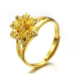 Anel Feminino Clássico Banhado A Ouro 18K Da Wide Varieties