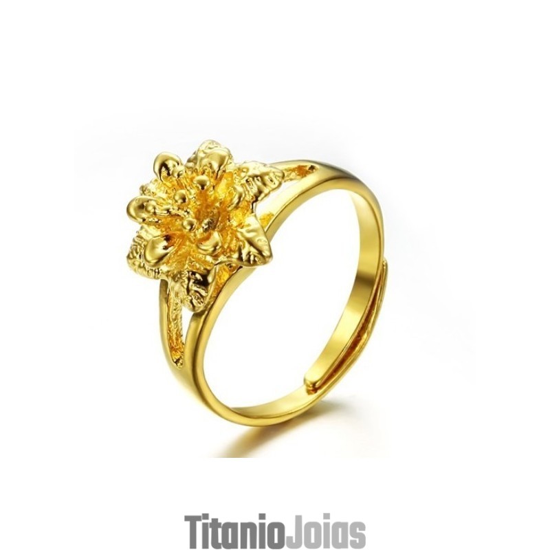 Anel Feminino Clássico Banhado A Ouro 18K Da Wide Varieties Anel Feminino Clássico Banhado A Ouro 18K Da Wide Varieties