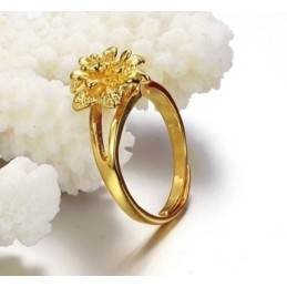 Anel Feminino Clássico Banhado A Ouro 18K Da Wide Varieties