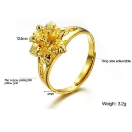 Anel Feminino Clássico Banhado A Ouro 18K Da Wide Varieties