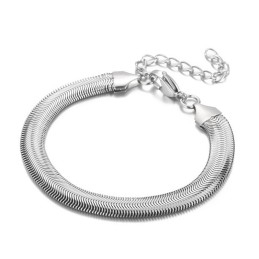 Pulseiras De Titânio Com Corrente De Osso De Cobra Da Moda Para Homens E Mulheres