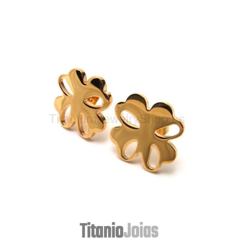 Brincos De Titânio Com Flor Dourada Brincos De Titânio Com Flor Dourada