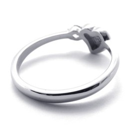 Anel De Titânio Com Diamante Para Mulheres