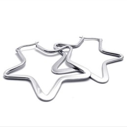 Brincos De Titânio Estrela
