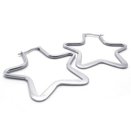 Brincos De Titânio Estrela